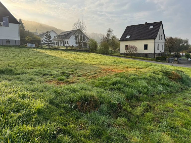 Immobilienangebot - Windeck / Eulenbruch - Alle - *REDUZIERT* Attraktives Baugrundstück in familienfreundlicher Wohnlage von Windeck / Eulenbruch!