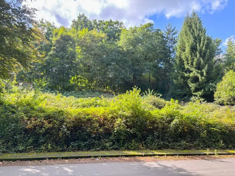 Immobilienangebot - Breitscheidt - Alle - Voll erschlossenes Baugrundstück - Nähe Hamm (Sieg)!