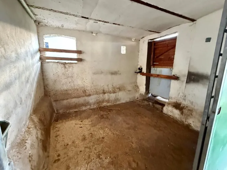Immobilienangebot - Marzhausen - Alle - Stilvoll renoviert: Großes Bauernhaus mit 2 Pferdeboxen und Ausbaupotenzial für Wohnen & Arbeiten