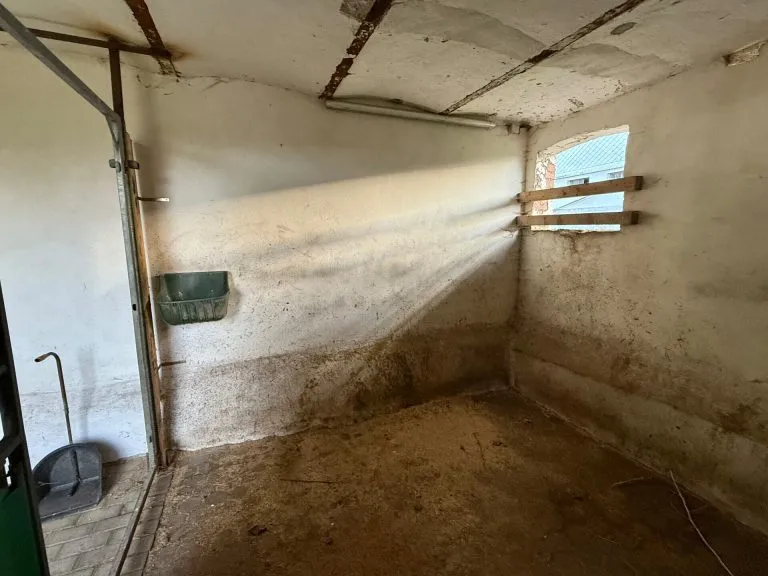 Immobilienangebot - Marzhausen - Alle - Stilvoll renoviert: Großes Bauernhaus mit 2 Pferdeboxen und Ausbaupotenzial für Wohnen & Arbeiten