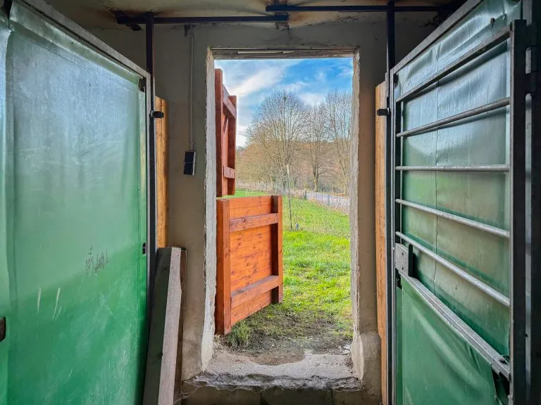 Immobilienangebot - Marzhausen - Alle - Stilvoll renoviert: Großes Bauernhaus mit 2 Pferdeboxen und Ausbaupotenzial für Wohnen & Arbeiten