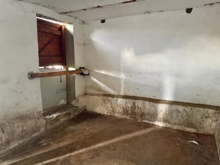 Immobilienangebot - Marzhausen - Alle - Stilvoll renoviert: Großes Bauernhaus mit 2 Pferdeboxen und Ausbaupotenzial für Wohnen & Arbeiten