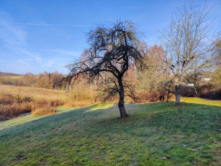 Immobilienangebot - Altenkirchen VG - Alle - ***Reduziert***Ein-/Zweifamilienhaus mit großem Grundstück in idyllischer Ortsrandlage zwischen Altenkirchen und Hamm/Sieg!