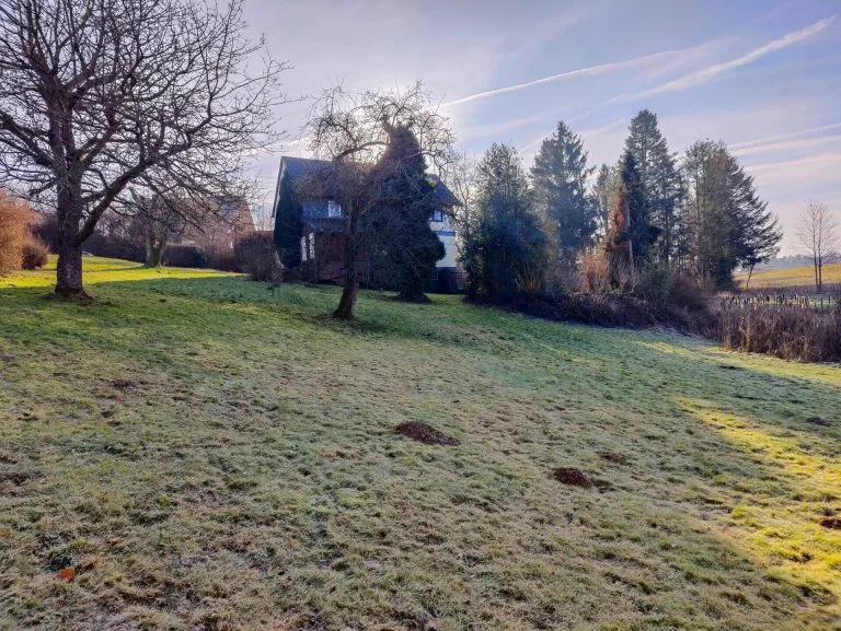 Immobilienangebot - Altenkirchen VG - Alle - ***Reduziert***Ein-/Zweifamilienhaus mit großem Grundstück in idyllischer Ortsrandlage zwischen Altenkirchen und Hamm/Sieg!