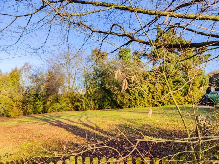 Immobilienangebot - Altenkirchen VG - Alle - Attraktiver Bauplatz mit ehemaligem Backes unweit von Altenkirchen!