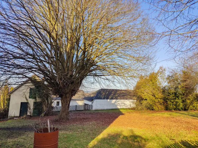 Immobilienangebot - Altenkirchen VG - Alle - Attraktiver Bauplatz mit ehemaligem Backes unweit von Altenkirchen!