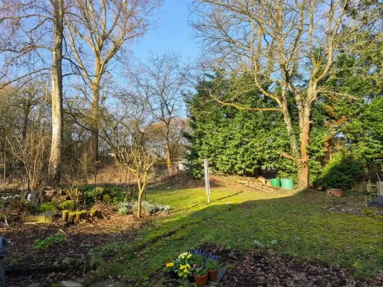 Immobilienangebot - Dierdorf - Alle - Geräumiges Wohnhaus in bevorzugter Wohnlage von Dierdorf zu verkaufen!