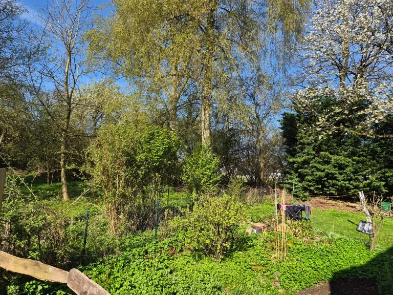 Immobilienangebot - Dierdorf - Alle - Geräumiges Wohnhaus in bevorzugter Wohnlage von Dierdorf zu verkaufen!