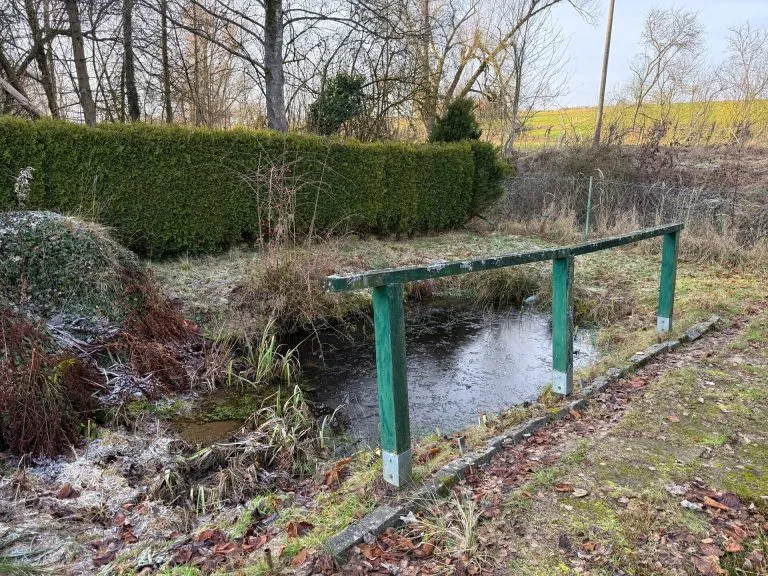 Immobilienangebot - Mündersbach - Alle - 2 Wohnhäuser auf großem Grundstück in ruhiger Ortsrandlage! Ideal für Mehrgenerationen