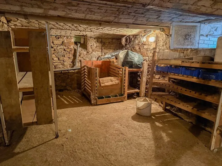 Immobilienangebot - Mündersbach - Alle - 2 Wohnhäuser auf großem Grundstück in ruhiger Ortsrandlage! Ideal für Mehrgenerationen