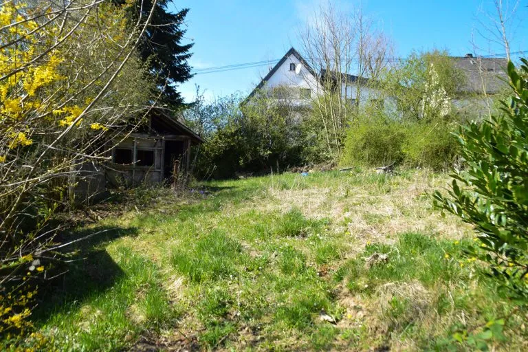 Immobilienangebot - Ransbach-Baumbach - Alle - Einfamilienhaus mit großem Grundstück (713 m²) in begehrter Lage von Ransbach-Baumbach!
