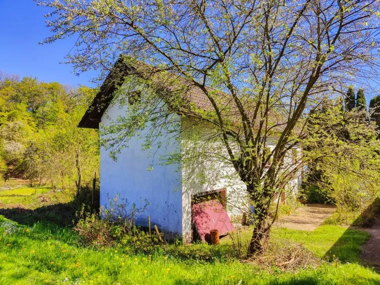 Immobilienangebot - Altenkirchen VG - Alle - Sanierungsbedürftiges Einfamilienhaus mit großem Grundstück in Ortsrandlage!
