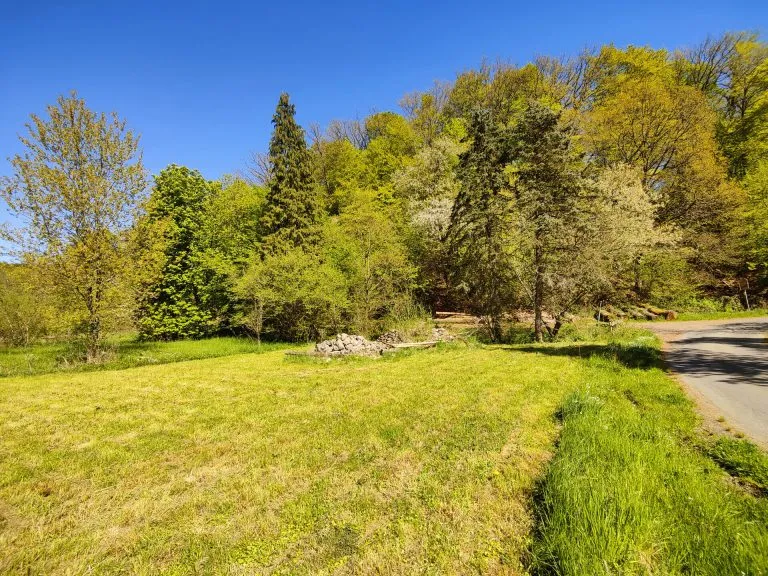Immobilienangebot - Altenkirchen VG - Alle - Sanierungsbedürftiges Einfamilienhaus mit großem Grundstück in Ortsrandlage!