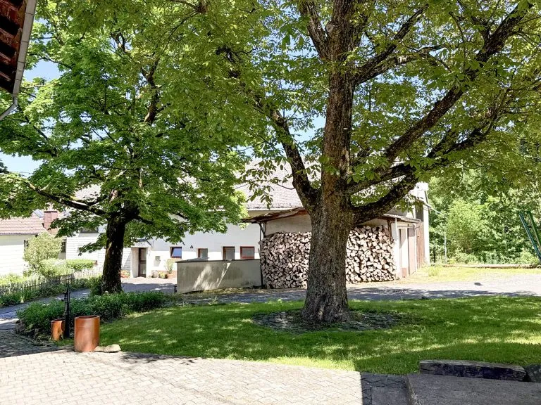 Immobilienangebot - Hachenburg VG - Alle - Ehemalige Schule mit Nebengebäude - Wohnen & Vermieten kombinierbar! Nähe Hachenburg!