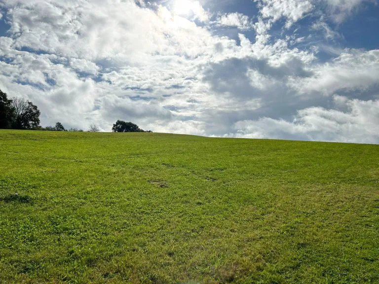 Immobilienangebot - Morsbach / Steimelhagen - Alle - Mehrere Baugrundstücke, "noch zu vermessen" in idyllischer Lage von Morsbach!