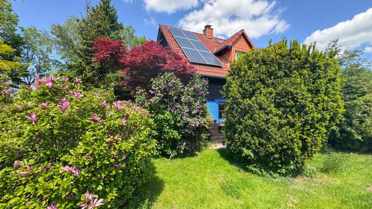 Immobilienangebot - Rennerod - Alle - *RESERVIERT* Ländliche Ruhe, stadtnah genießen. Schickes Blockhaus mit Garten in Feldrandlage!
