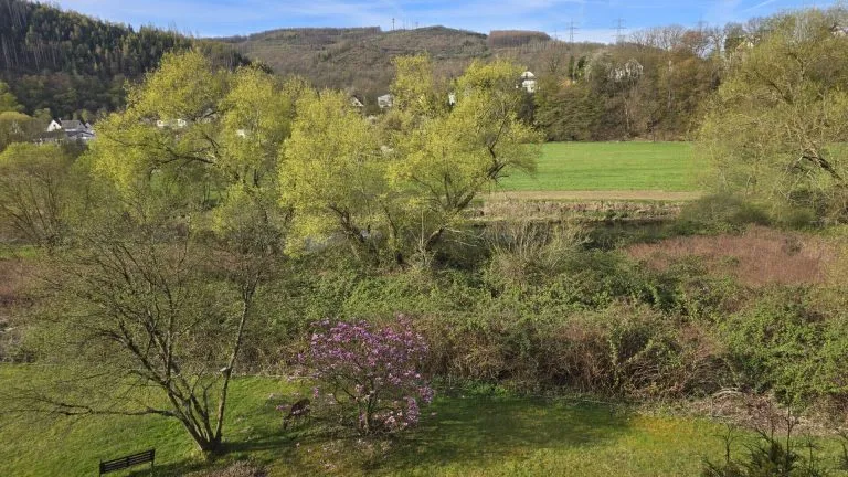Immobilienangebot - Brachbach - Alle - Großzügige Etagenwohnung mit Wintergarten und Sieg-Blick!