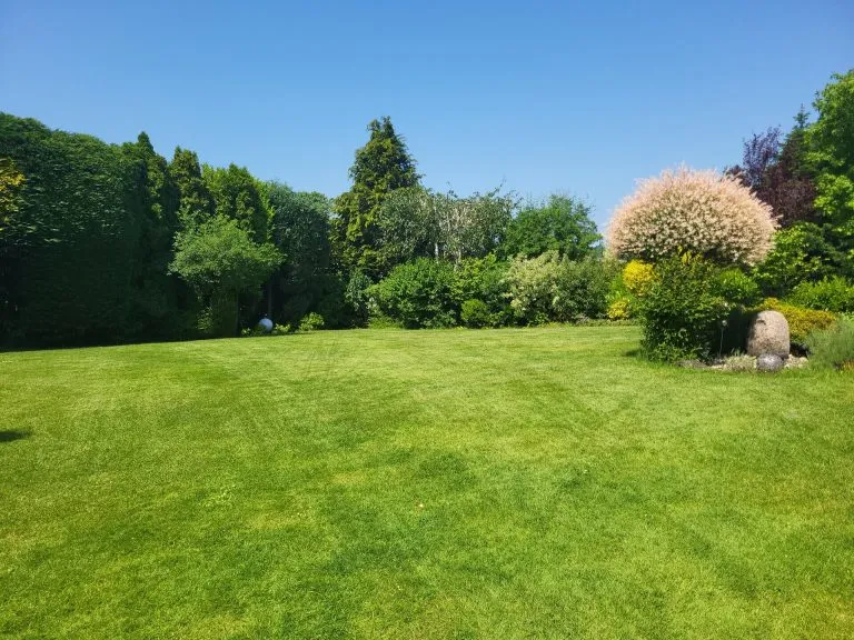 Immobilienangebot - Höhr-Grenzhausen - Alle - Wohnen mit Komfort und Charakter - Großzügiges, freistehendes Einfamilienhaus mit Wellnessflair!