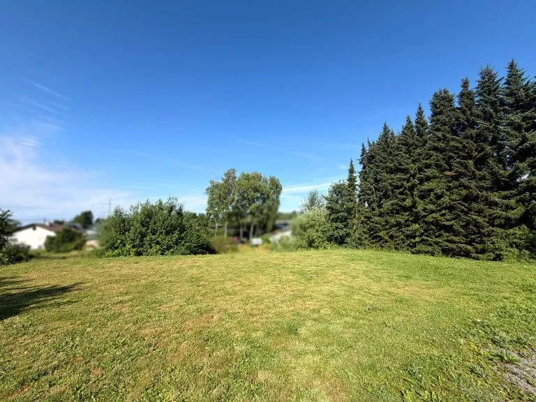 Immobilienangebot - Rennerod VG - Alle - Ein-/Zweifamilienhaus auf großem Grundstück mit Garage und Werkstatt!