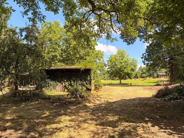 Immobilienangebot - Mündersbach - Alle - Barrierefreie Erdgeschosswohnung mit Sauna und großzügiger Terrasse nahe Hachenburg!