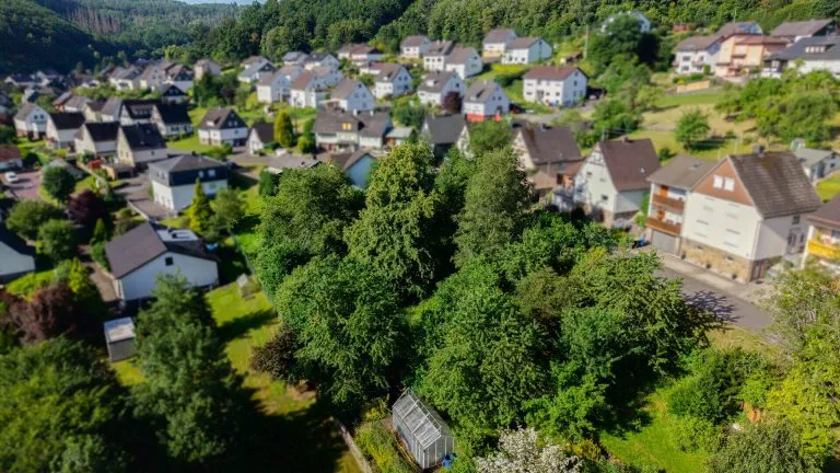 Immobilienangebot - Niederdreisbach - Alle - Attraktives Baugrundstück für Ihr Familiendomizil – im Ortskern gelegen!