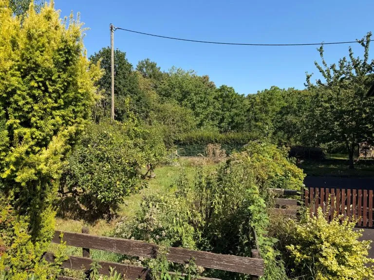 Immobilienangebot - Windeck VG - Alle - Gemütliches Einfamilienhaus mit Kamin und großem Grundstück in naturnaher Lage!