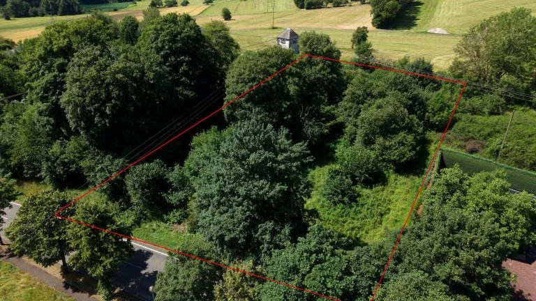 Immobilienangebot - Waldmühlen - Alle - Attraktives und großzügiges Baugrundstück mit Entwicklungspotenzial im Westerwald!