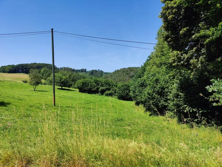 Immobilienangebot - Idelberg - Alle - Großes Baugrundstück in idyllischer Lage zwischen Altenkirchen und Hamm/Sieg!