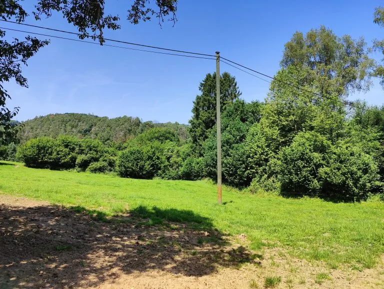 Immobilienangebot - Idelberg - Alle - Großes Baugrundstück in idyllischer Lage zwischen Altenkirchen und Hamm/Sieg!