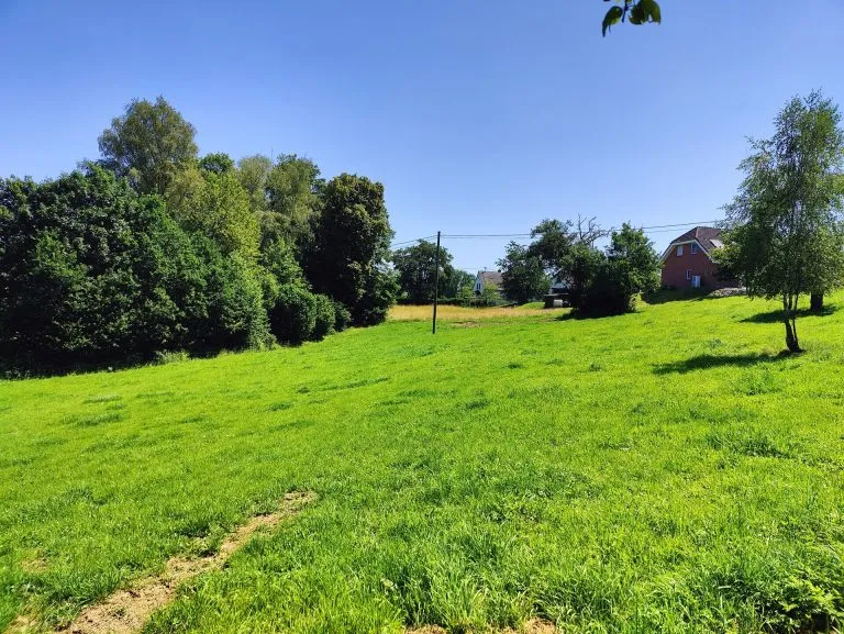 Immobilienangebot - Idelberg - Alle - Großes Baugrundstück in idyllischer Lage zwischen Altenkirchen und Hamm/Sieg!