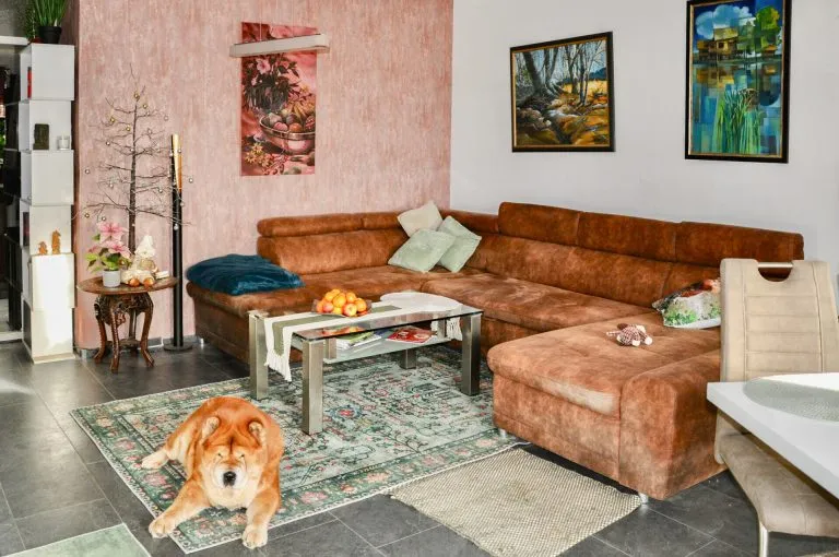 Immobilienangebot - Bergisch Gladbach ST - Alle - Ideal für Kapitalanleger: Langjährig vermietete 2 ZKB-Eigentumswohnung mit TG-Stellplatz!