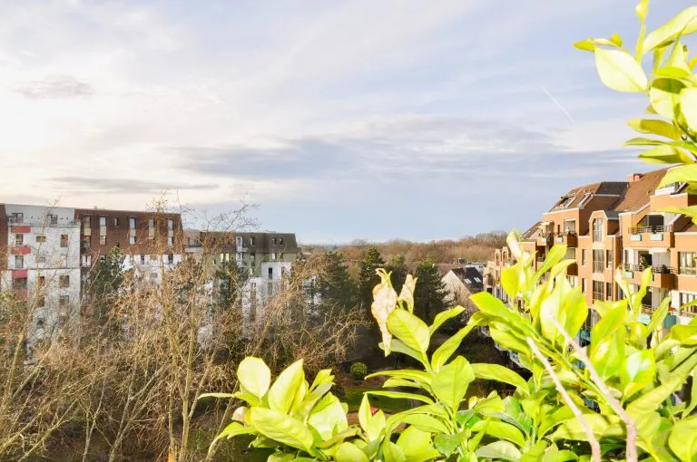 Immobilienangebot - Bergisch Gladbach ST - Alle - ***RESERVIERT***
Ideal für Kapitalanleger: Langjährig vermietete 2 ZKB-Eigentumswohnung mit TG-Stellplatz auf Erbpachtgrundstück!