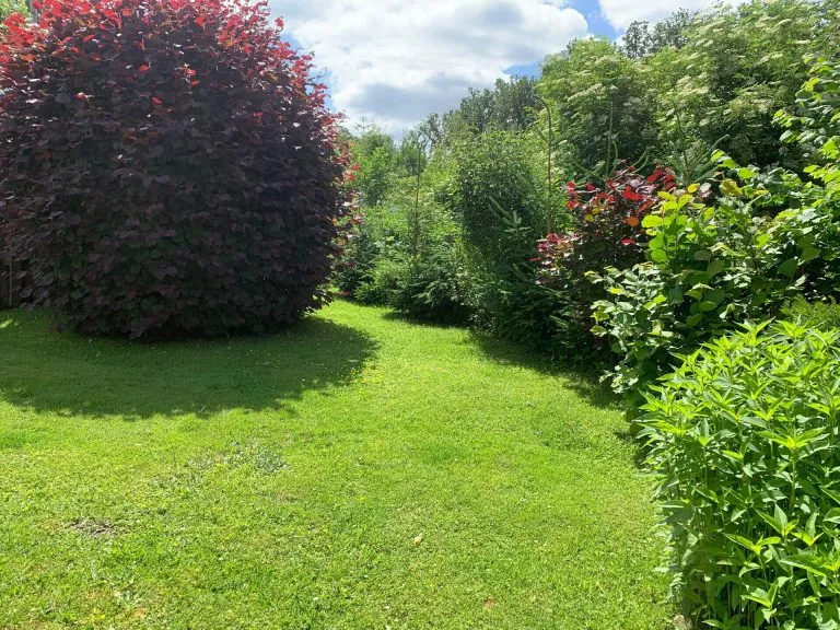 Immobilienangebot - Puderbach VG - Alle - TRAUMLAGE - Top-sanierter Bungalow in absoluter Ortsrandlage zu verkaufen!