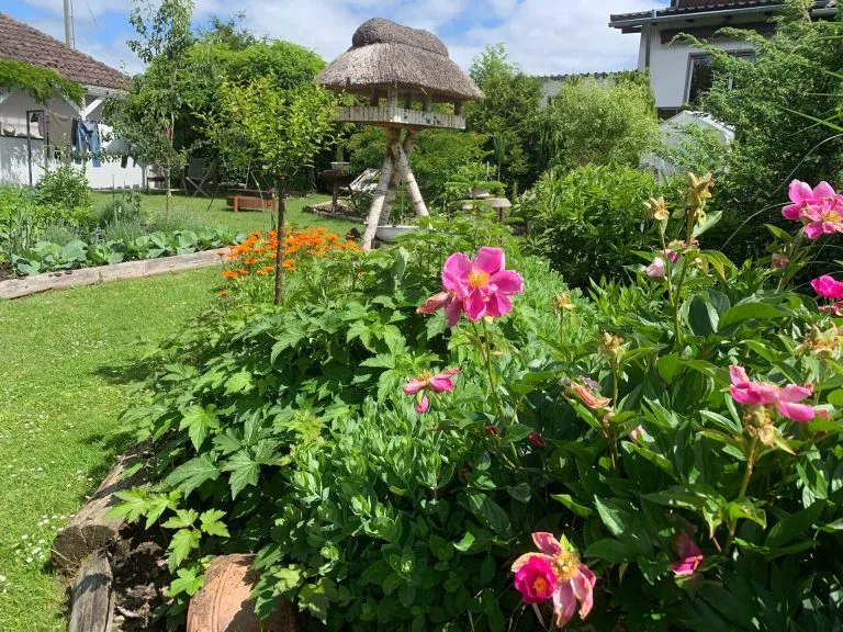 Immobilienangebot - Puderbach VG - Alle - TRAUMLAGE - Top-sanierter Bungalow in absoluter Ortsrandlage zu verkaufen!
