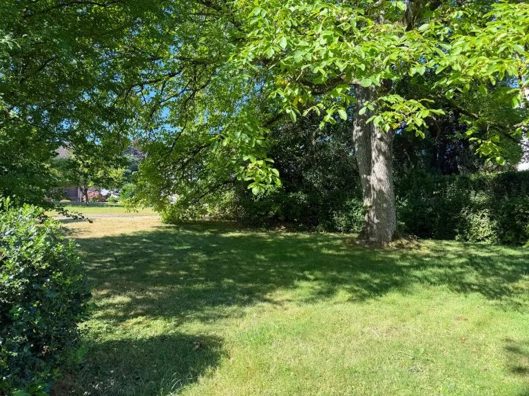 Immobilienangebot - Windeck-Dattenfeld - Alle - Grundstücksteilung: Neu entstehendes Baugrundstück gelegen in Windeck-Dattenfeld!