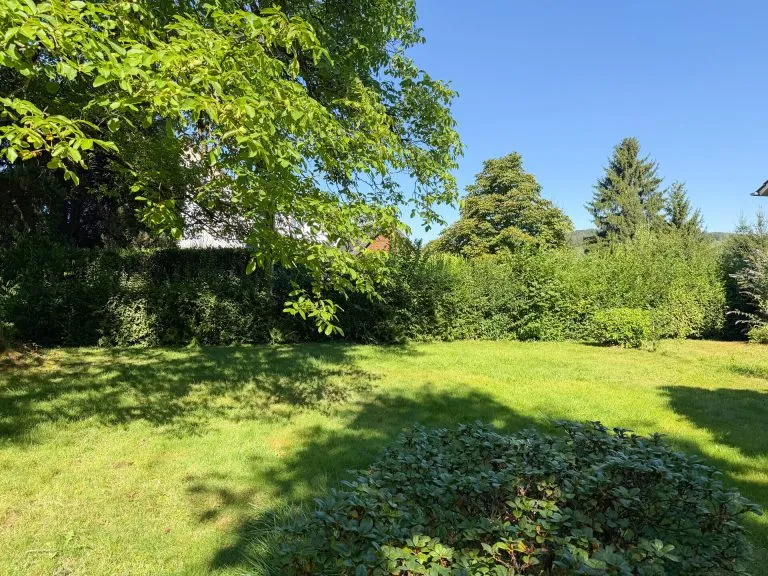 Immobilienangebot - Windeck-Dattenfeld - Alle - Grundstücksteilung: Neu entstehendes Baugrundstück gelegen in Windeck-Dattenfeld!