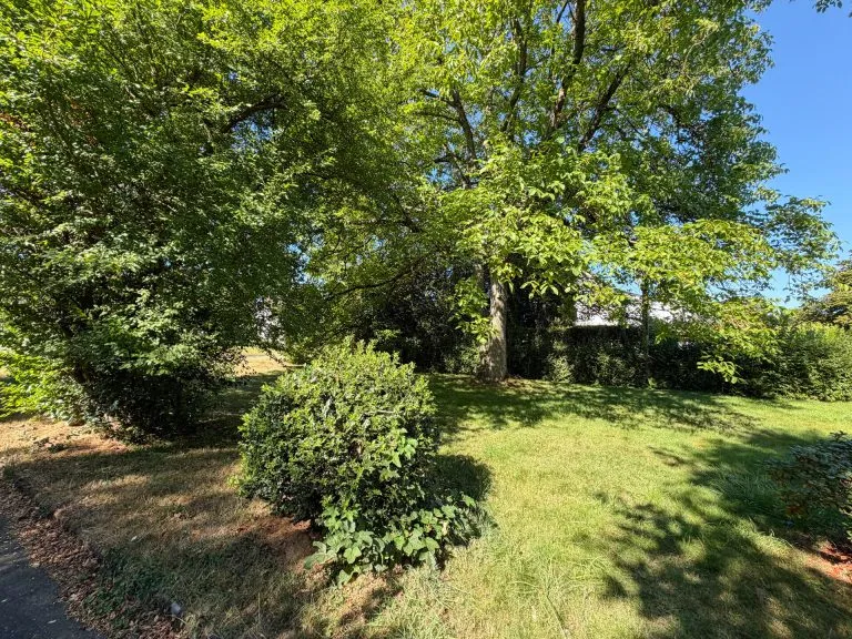 Immobilienangebot - Windeck-Dattenfeld - Alle - Grundstücksteilung: Neu entstehendes Baugrundstück gelegen in Windeck-Dattenfeld!