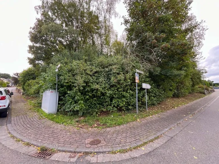 Immobilienangebot - Schönstein - Alle - Eckgrundstück (844m²) in ruhiger und gefragter Wohnlage von Wissen/Schönstein!