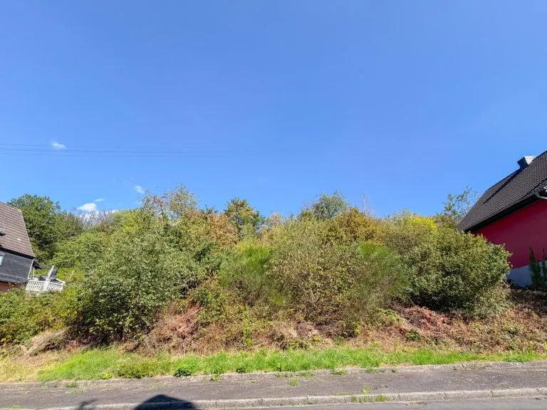 Immobilienangebot - Betzdorf - Alle - Grundstück zu verkaufen - über 1.000 m² in attraktiver Hanglage von Betzdorf!