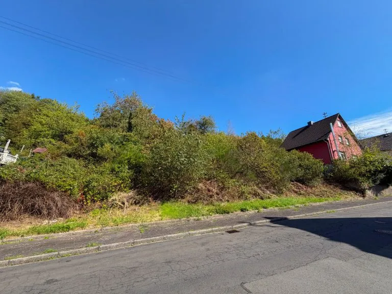 Immobilienangebot - Betzdorf - Alle - Grundstück zu verkaufen - über 1.000 m² in attraktiver Hanglage von Betzdorf!