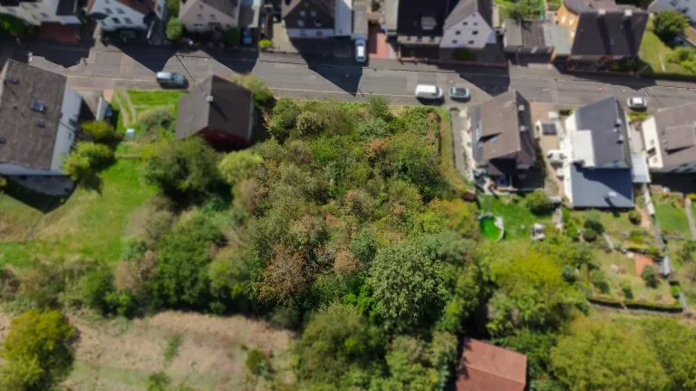 Immobilienangebot - Betzdorf - Alle - Grundstück zu verkaufen - über 1.000 m² in attraktiver Hanglage von Betzdorf!