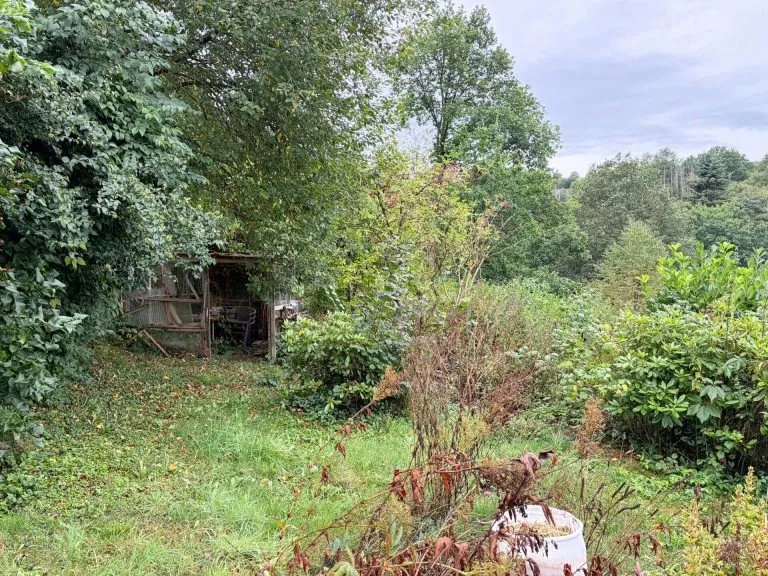 Immobilienangebot - Selbach - Alle - Einfamilienhaus/ Wochenendhaus in ruhiger, grüner Lage mit individuellem Ausbaupotenzial