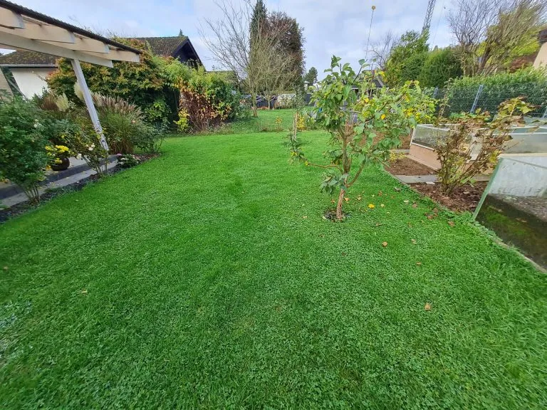 Immobilienangebot - Straßenhaus - Alle - Großzügiges Landhaus mit viel Platz, gepflegtem Garten und vielseitigen Nutzungsmöglichkeiten!