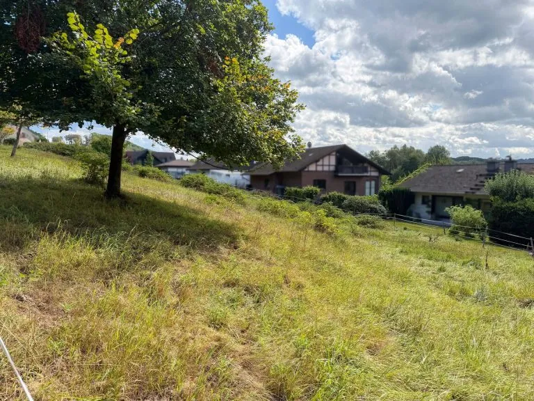 Immobilienangebot - Windeck-Dattenfeld - Alle - Baugrundstück in Hanglage in idyllischer & ruhiger Wohngegend von Windeck-Dattenfeld!
