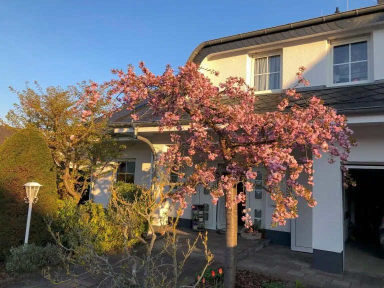 Immobilienangebot - Montabaur - Alle - Repräsentatives Haus mit tollem Garten & Doppelgarage in gefragter Lage von Montabaur zu vermieten!
