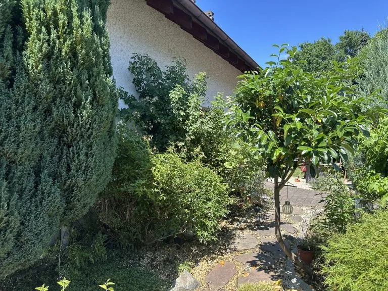 Immobilienangebot - Luckenbach - Alle - Großzügiges Wohnen mit vielseitigen Möglichkeiten – Einfamilienhaus mit voll erschlossenem Bauplatz!
