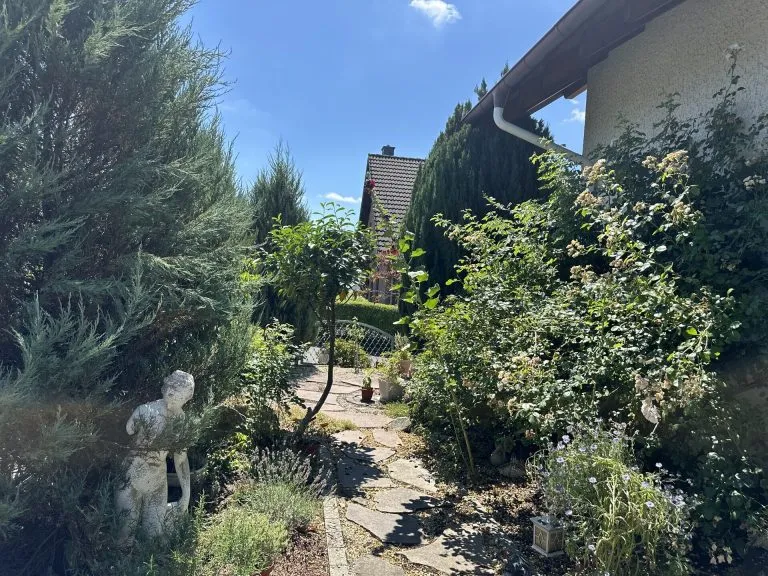 Immobilienangebot - Luckenbach - Alle - Großzügiges Wohnen mit vielseitigen Möglichkeiten – Einfamilienhaus mit voll erschlossenem Bauplatz!