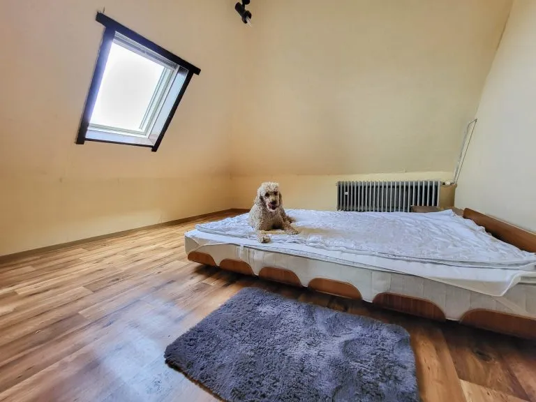 Immobilienangebot - Höhr-Grenzhausen - Alle - Wohnen und Arbeiten unter einem Dach - stilvolle Stadtvilla in top Lage von Höhr-Grenzhausen!