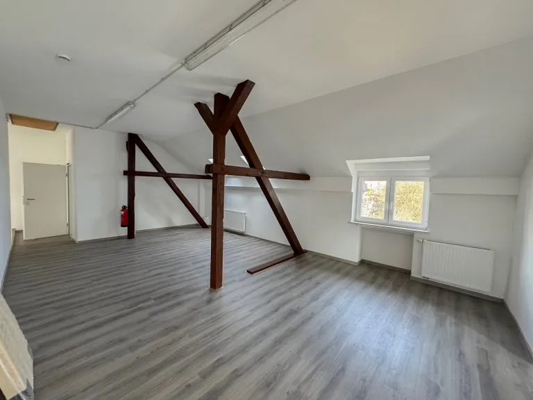 Immobilienangebot - Windeck / Schladern - Alle - Praxis, Büro oder Kanzlei? Vielseitiges Haus in Schladern mit ca. 400 m² Nutzfläche und Stellplätzen